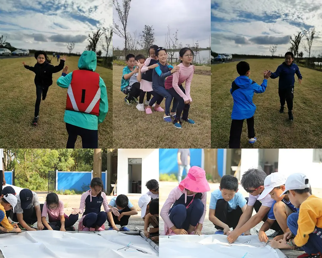 杏鑫 杏鑫