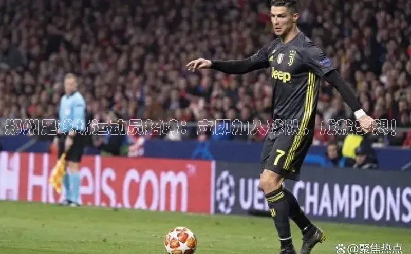 杏鑫代理百度游戏