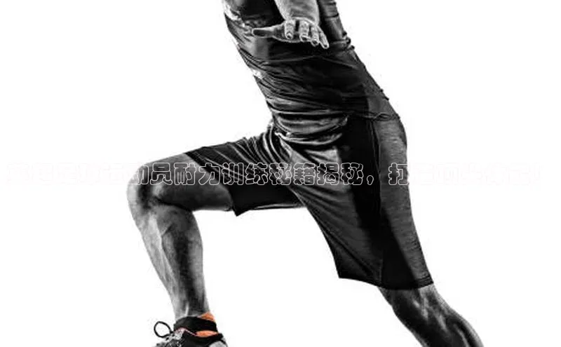 杏鑫平台线路测速梯哥哥科技