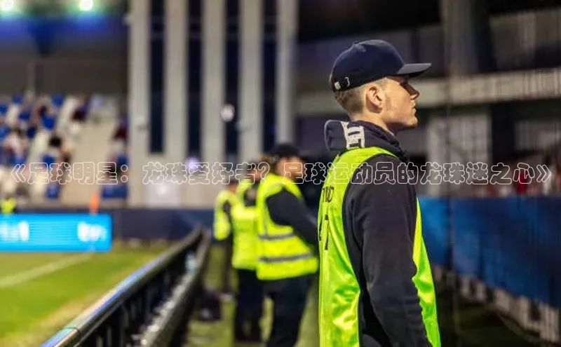 杏鑫平台代理小米