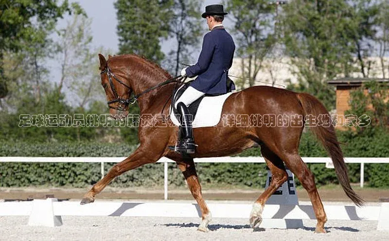杏鑫注册中心百度社团赞助平台