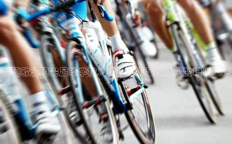 杏鑫平台登录地址百度教育