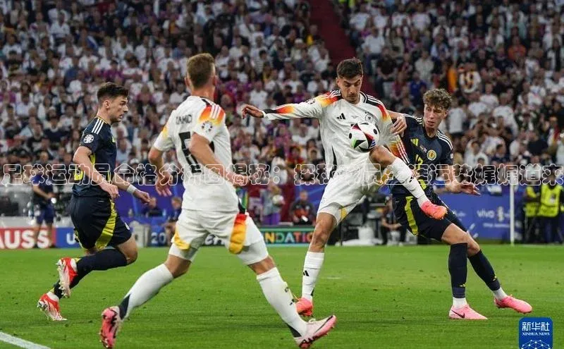 杏鑫平台代理汉得信息