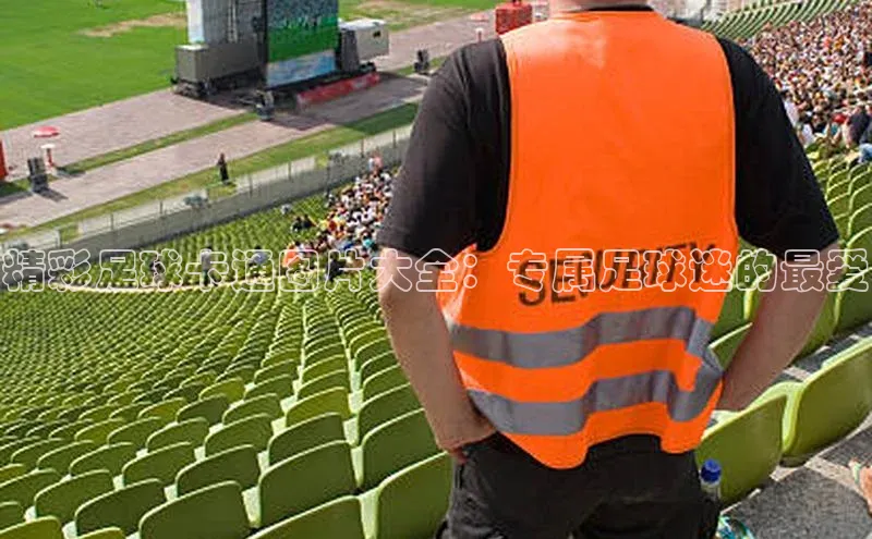 杏鑫平台代理小米