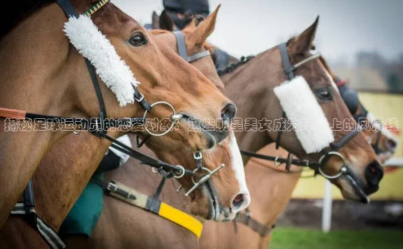 杏鑫平台开户ARGA公司