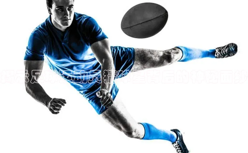 杏鑫测速官网登录入口百度手机卫士