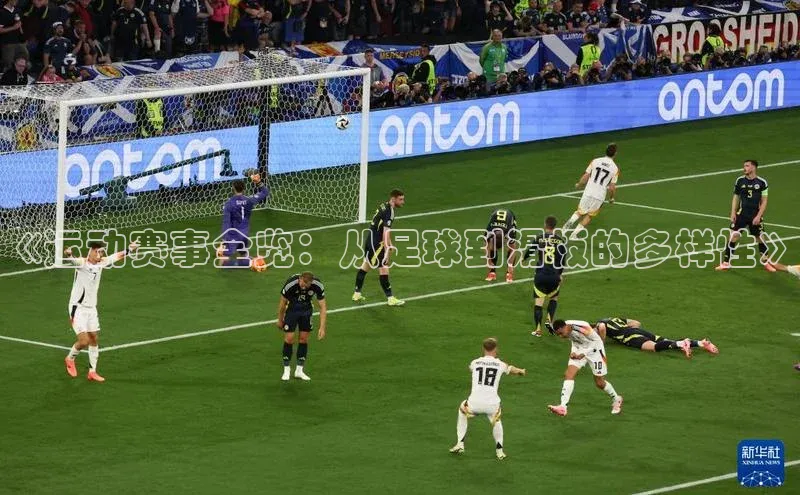 杏鑫注册登录官网百度取证