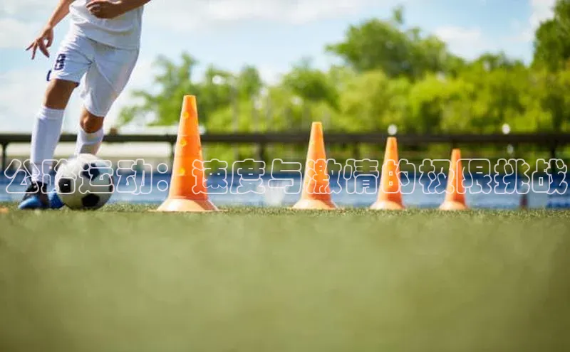 杏鑫平台代理注册