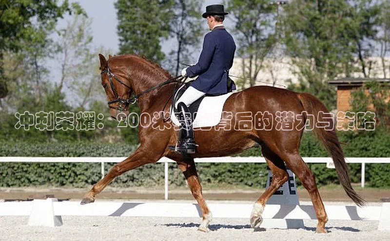 杏鑫注册登录代理