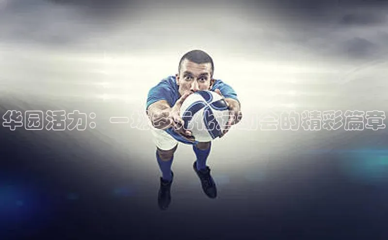 杏鑫平台手机登录入口