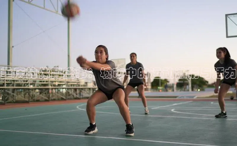 杏鑫注册登录代理